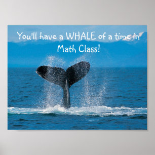 Póster WhaleMath