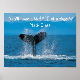 Póster WhaleMath