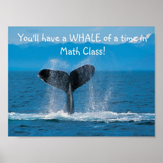Póster WhaleMath (Frente)