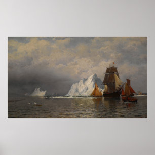 Póster Whaler and Fishing Vessels near the Coast of Labra