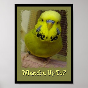 Póster Whatchu Hasta 3