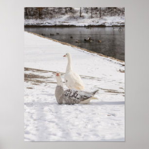 Póster Whats Up Goose