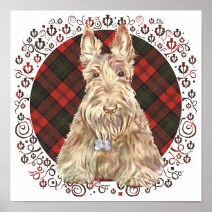 Póster Wheaten Scottie Tartan