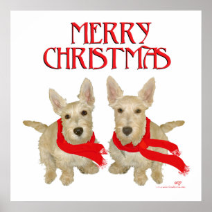 Póster Wheaten Scottish Terrier Chirstmas