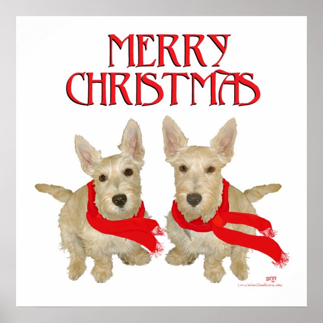 Póster Wheaten Scottish Terrier Navidad (Frente)