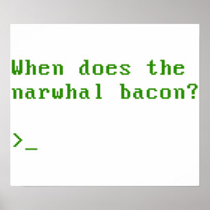 Póster When Does the Narwhal Bacon VGA Reddit Question