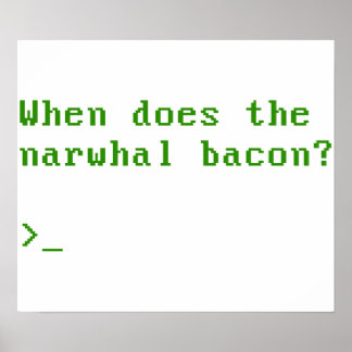 Póster When Does the Narwhal Bacon VGA Reddit Question