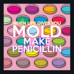 Póster When Life Gives You Mold Positive Science Quote<br><div class="desc">When Life Gives You Mold Make Penicillin,  humorous science poster. A fun modern science inspired design to engage and brighten science teachers classrooms,  science students rooms or for anyone who is fascinated by science. Designed by Thisisnotme©</div>