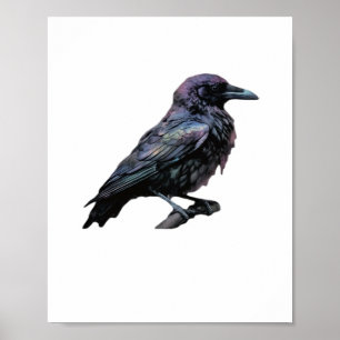Póster Whimsigoo Moody Floral Grungy Corvus, Raven, Crow