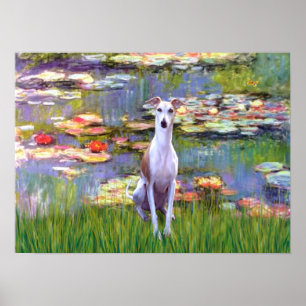 Póster Whippet (marrón-blanco) - Lilies 2