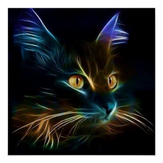 Póster Whiskers (Anverso)