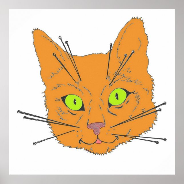 Póster Whiskers del gato (Frente)