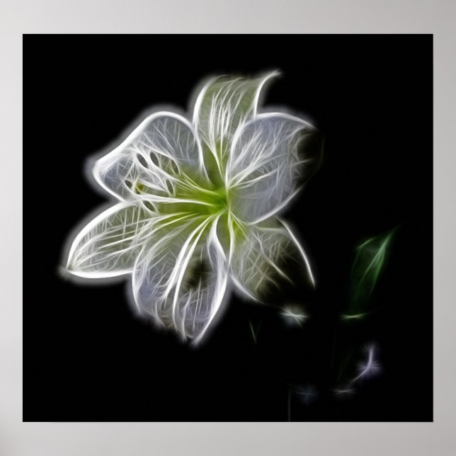 Póster white-82698 flor de lirio blanco naturaleza bellez (Frente)