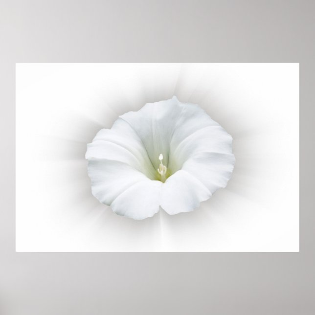 Póster white and shades of gray (Frente)