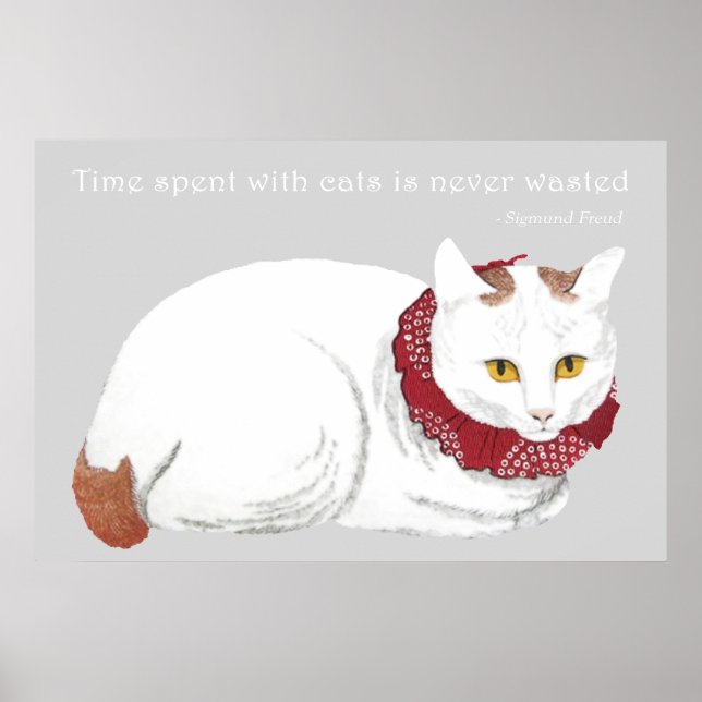Póster White Cat Poster Print (Frente)