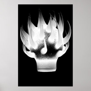 Póster White Flame