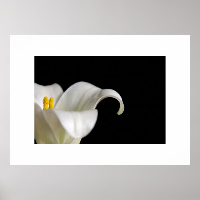 Póster White Flower Poster (Frente)