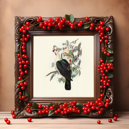 Póster White-headed Fruit Pigeon, Vintage 