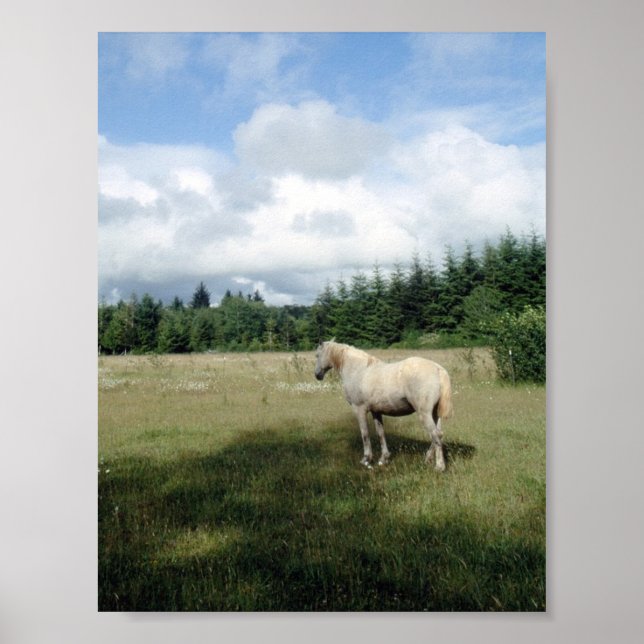 Póster White Horse at Pasture (Frente)