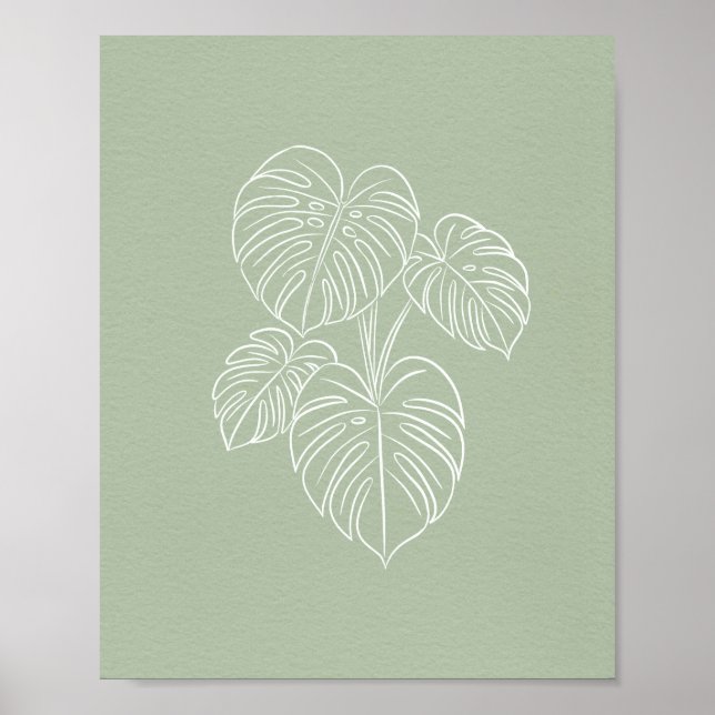 Póster White Monstera Leaf Line Art on Sage Green  (Frente)