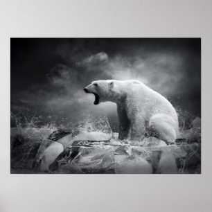 Póster White Polar Bear Hunter on the Ice in water