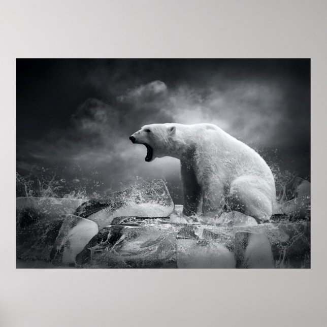 Póster White Polar Bear Hunter on the Ice in water (Frente)