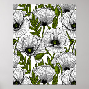 Póster White poppies on white