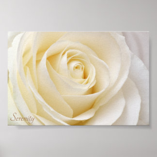 Póster White Rose Serenity