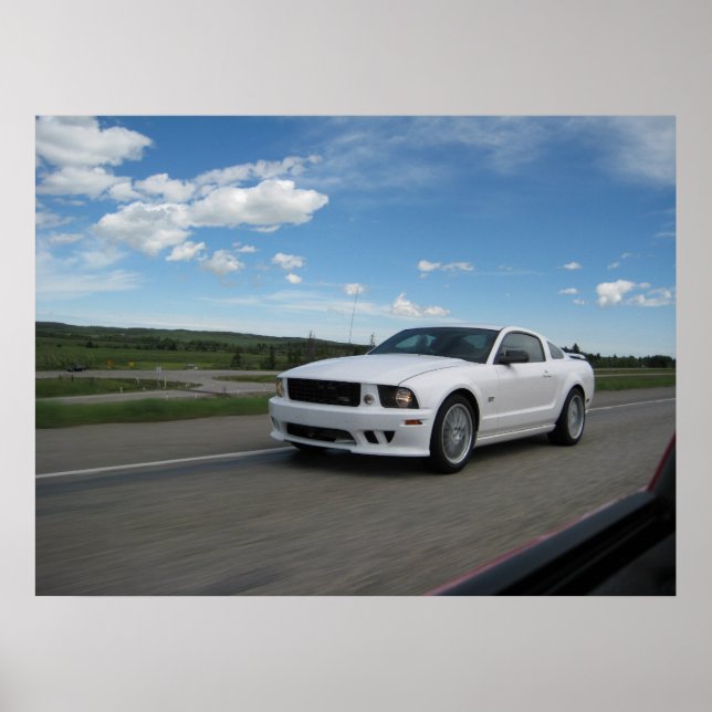 Póster White Saleen Mustang (Frente)