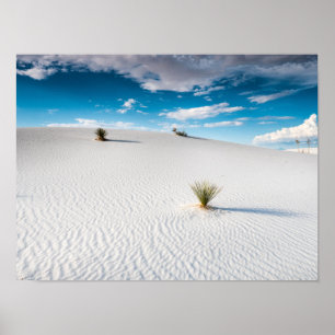 Póster White Sands Blue Sky Yucca, New Mexico Poster