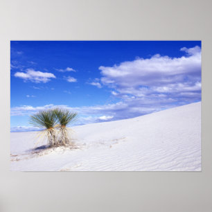 Póster White Sands NM, Nuevo México, Estados Unidos