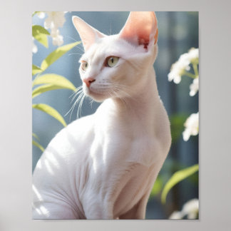 Póster White Sphinx Cat and Flowers