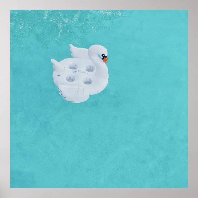 Póster White swan inflatable on body of water (Frente)
