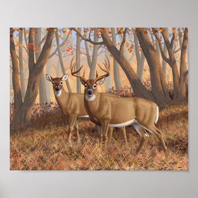 Póster Whitetail Deer Buck & Doe Otumn Maple Woods (Frente)