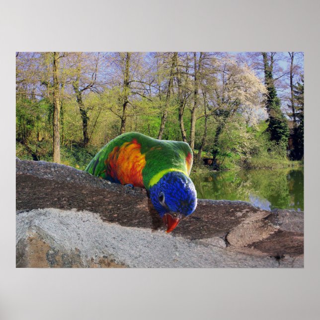 Póster Who are you? Cute Lori (Frente)