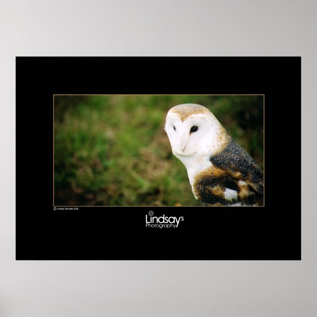 Póster Whooie (Frente)