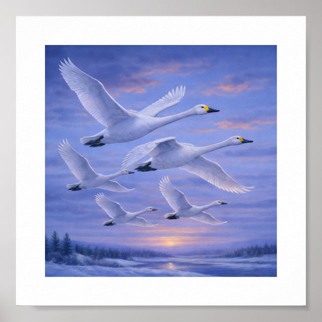 Póster Whooper Swans in Winter Sky – Japanese Wild Bird (Frente)