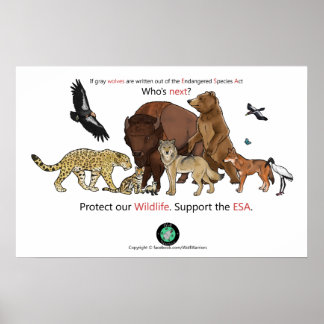 Póster Who's Next Poster