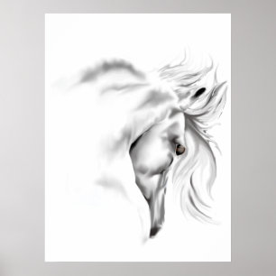 Póster Whte Horse Head Poster