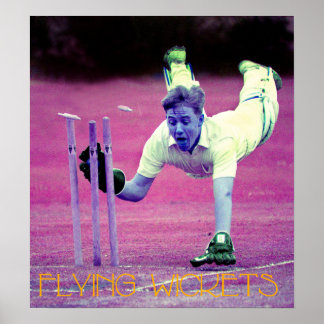 Póster Wickets voladores