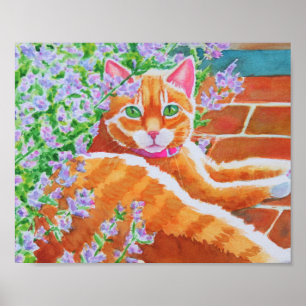 Póster Widget en el camino del jardín