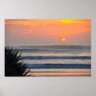 Póster Wilbur by the Sea Palm Sunrise Florida Poster