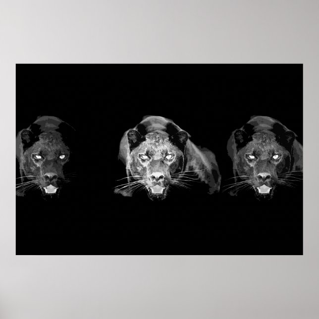 Póster Wild Black Panther Jaguar Cat Eyes Black & White (Frente)
