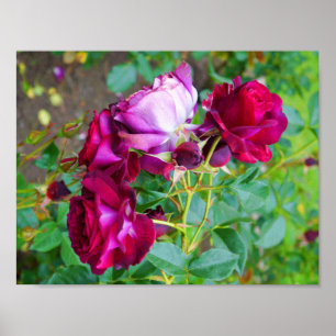 Póster Wild Blue Yonder subió el poster #1