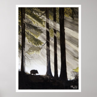 Póster Wild Boar