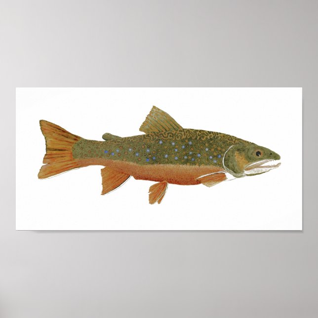 Póster Wild Brook Trout (Frente)