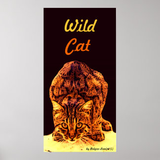 PÓSTER WILD CAT KITTEN