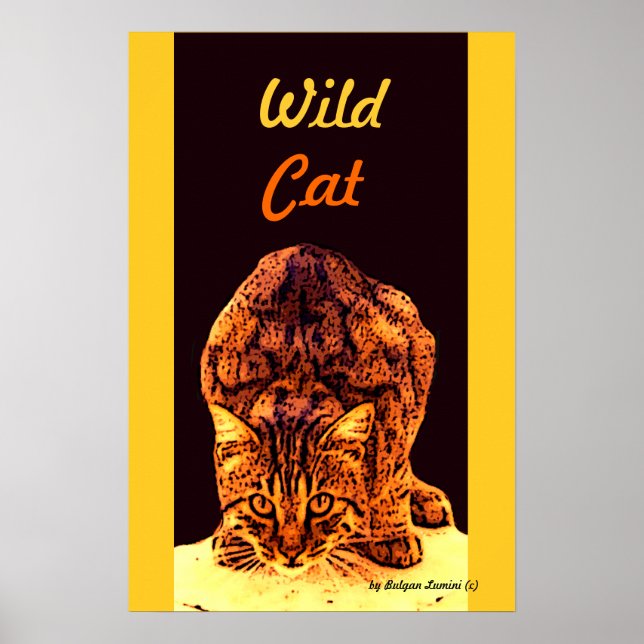PÓSTER WILD CAT KITTEN (Frente)