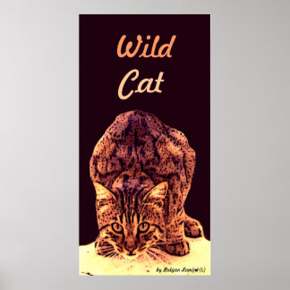 PÓSTER WILD CAT KITTEN