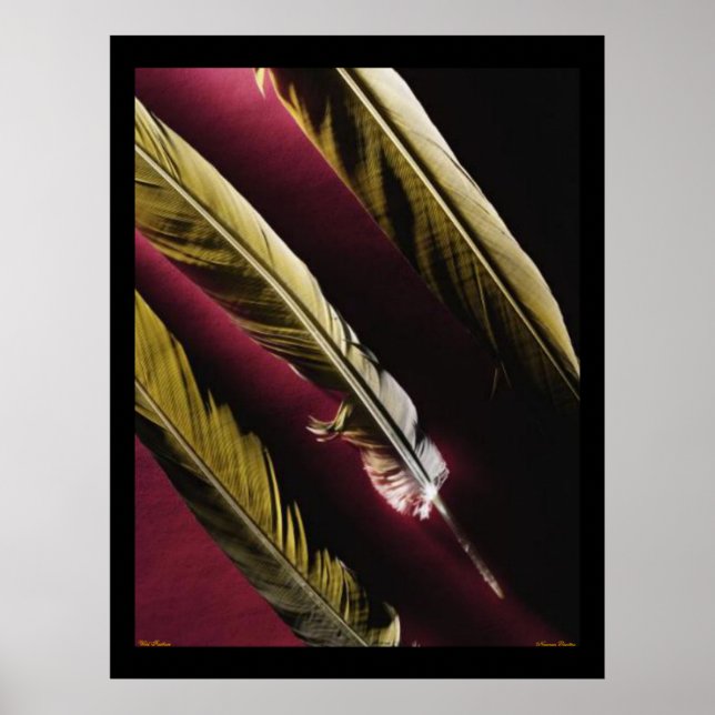 Póster Wild Feathers Poster (Frente)